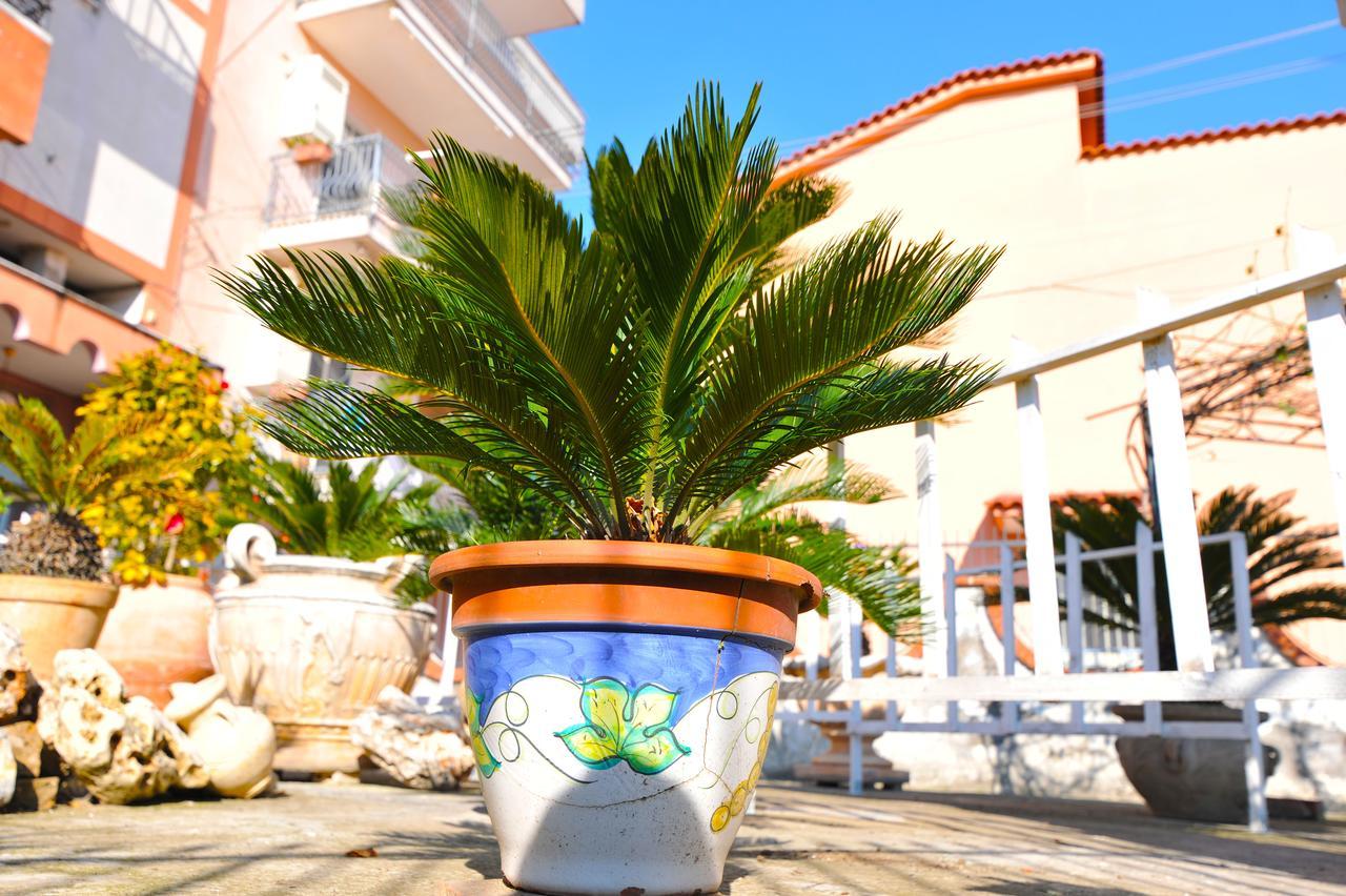 B&B Le Cycas Castellammare di Stabia Exterior foto